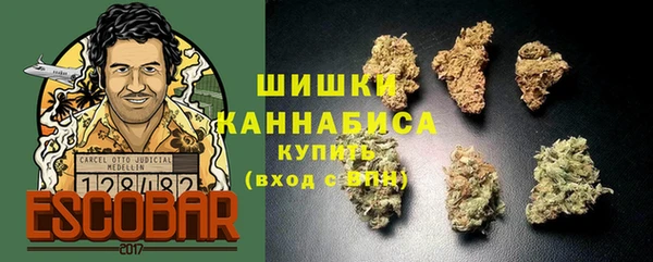 шишки Бугульма